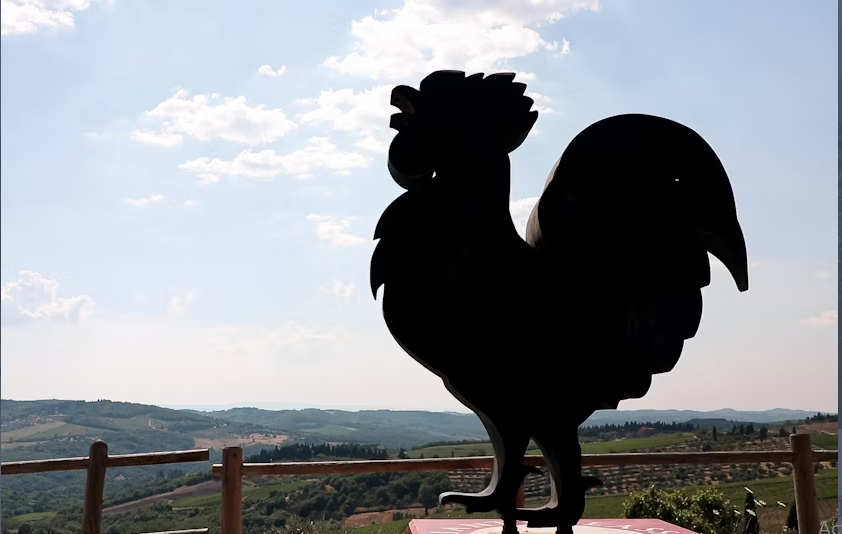 Chianti afternoon experience with two wine tastings